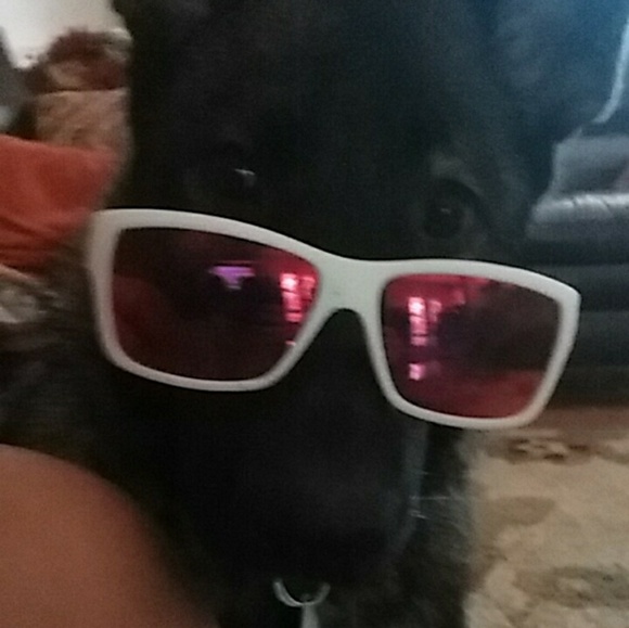 Meet your Posher, Cheri - Picture 2 of 4